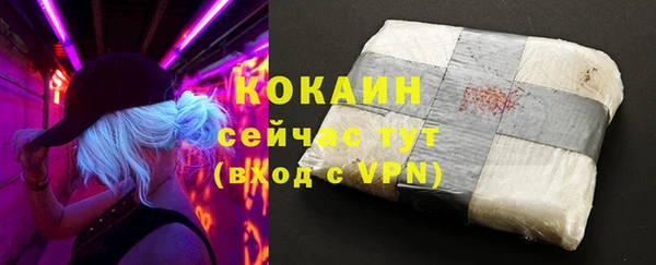 гашик Покровск
