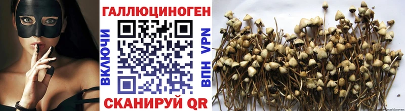 KRAKEN маркетплейс  Глазов  Галлюциногенные грибы мухоморы  где купить наркоту 