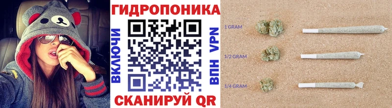 Шишки марихуана сатива  Глазов 